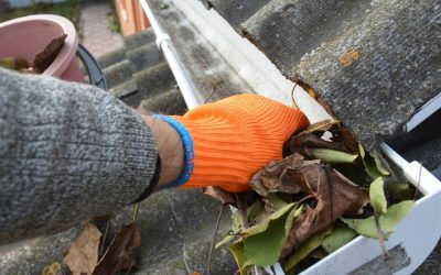 Spring Gutter Cleaning: Protect Your Home from Water Damage