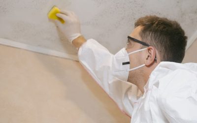 The 5 Best Ways to Prevent Mold in Homes and Keep Your Space Healthy
