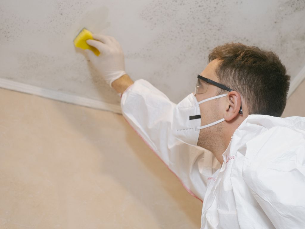 mold-removal-royal-oak-2